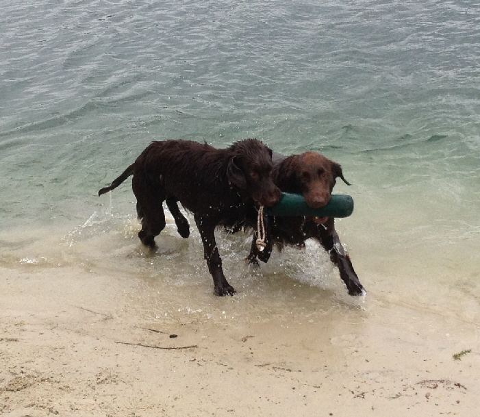 Wasserapport Angel und Funny